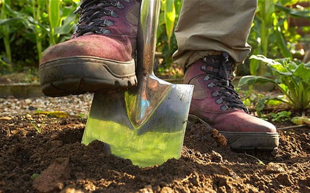 Hiding Away (ahem, working) In Your Allotment Shed Just Got Better